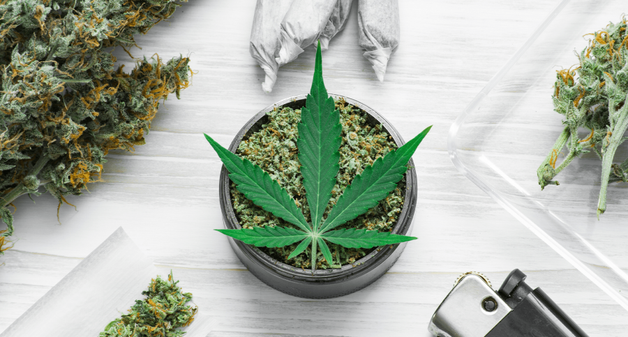 Fünf erfolgreiche Cannapreneure