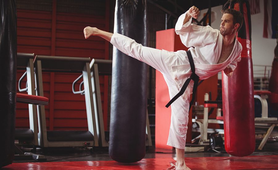 Karate player performing karate stance