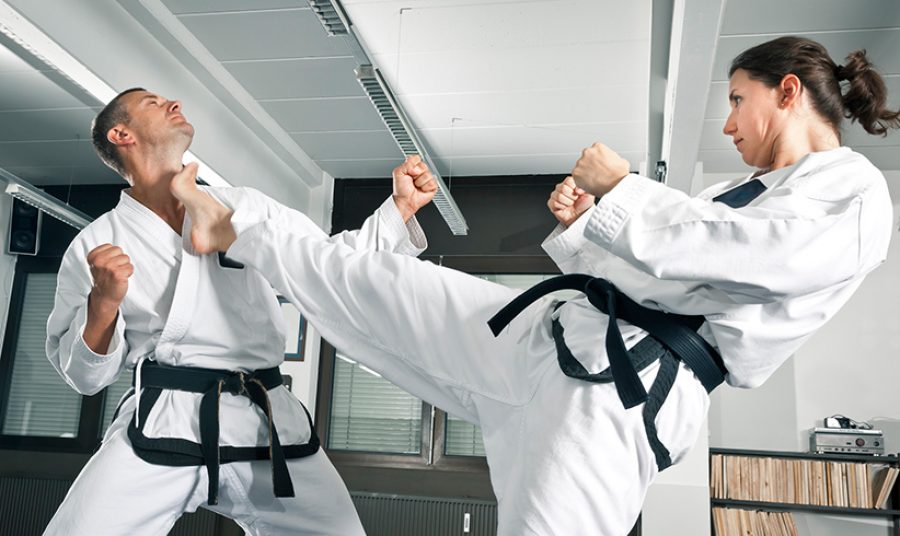 martial arts master
