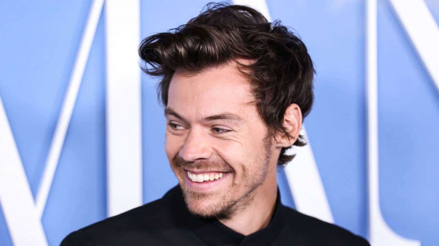 Harry Styles ist Großbritanniens reichster Jungstar