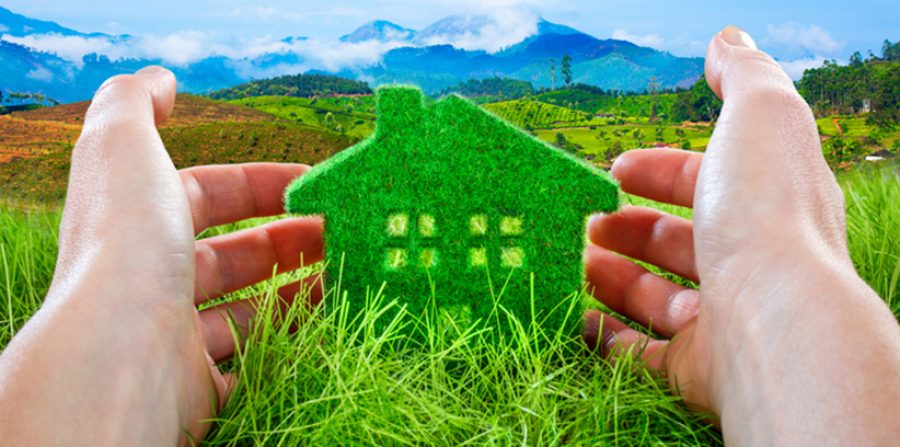 Eco House